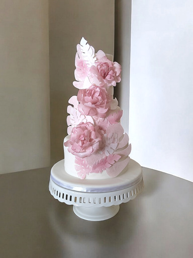 Pink Monstera and Peony Cake