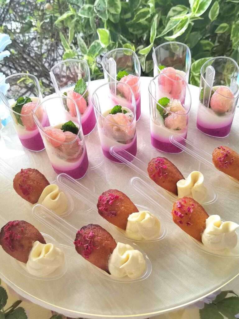 Panna Cotta and Madeleine