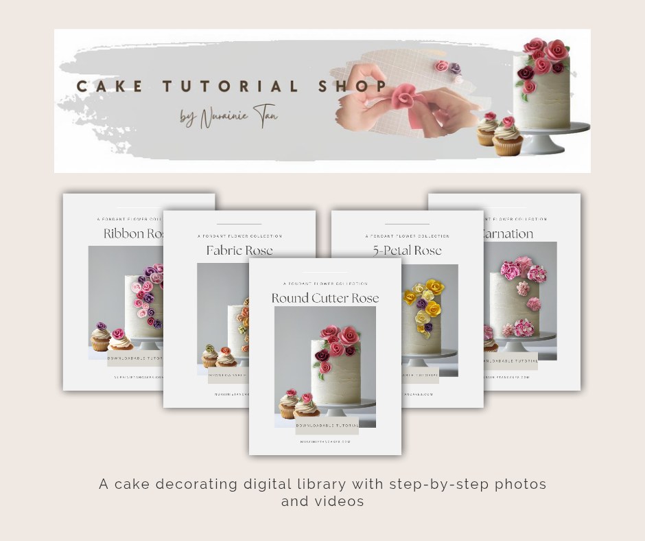 Digital Cake Decorating E-book